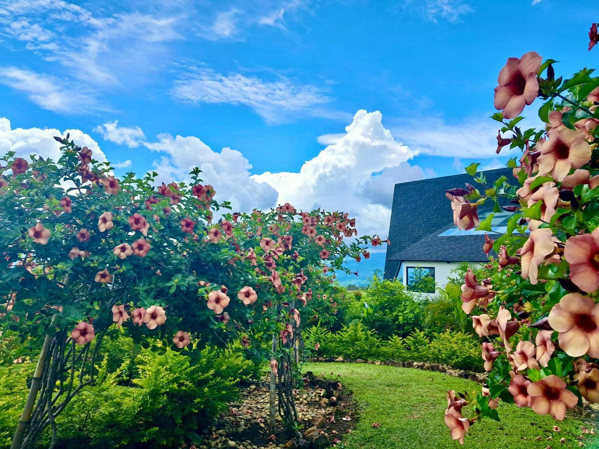 El Resort De Yanashpa - Тарапото Екстериор снимка